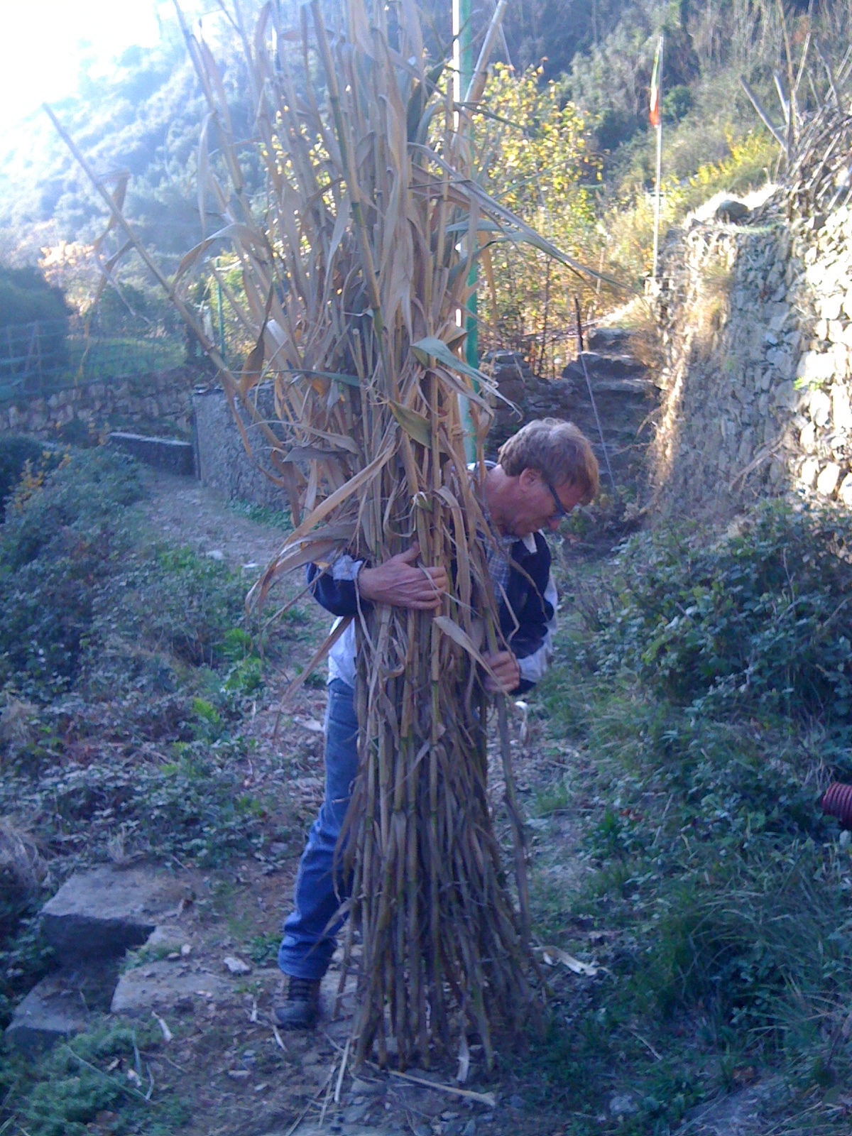 soffietto per zolfo in polvere